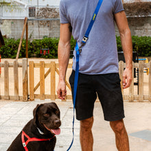 Cargar imagen en el visor de la galería, personalised dog leash

