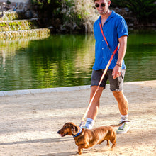 Cargar imagen en el visor de la galería, personalised dog gift
